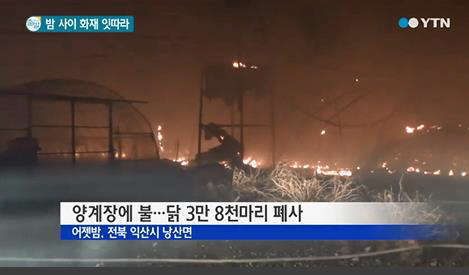 사진=YTN방송 영상 캡처